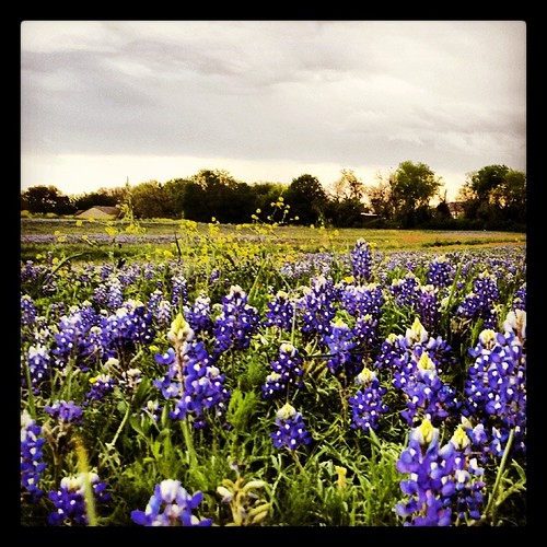 Texas before the rain tx atx atxlife spri… Flickr