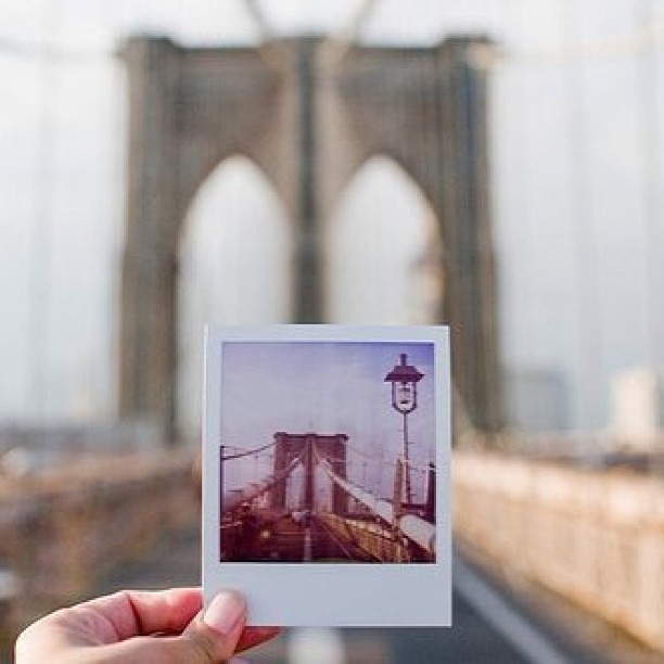 im Uhrzeigersinn Erleichtern Schicht postcards and polaroids Anfänger