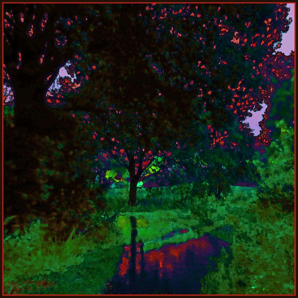 Redbud Tree Redbud Tree by Mark Knopfler Thea Flickr