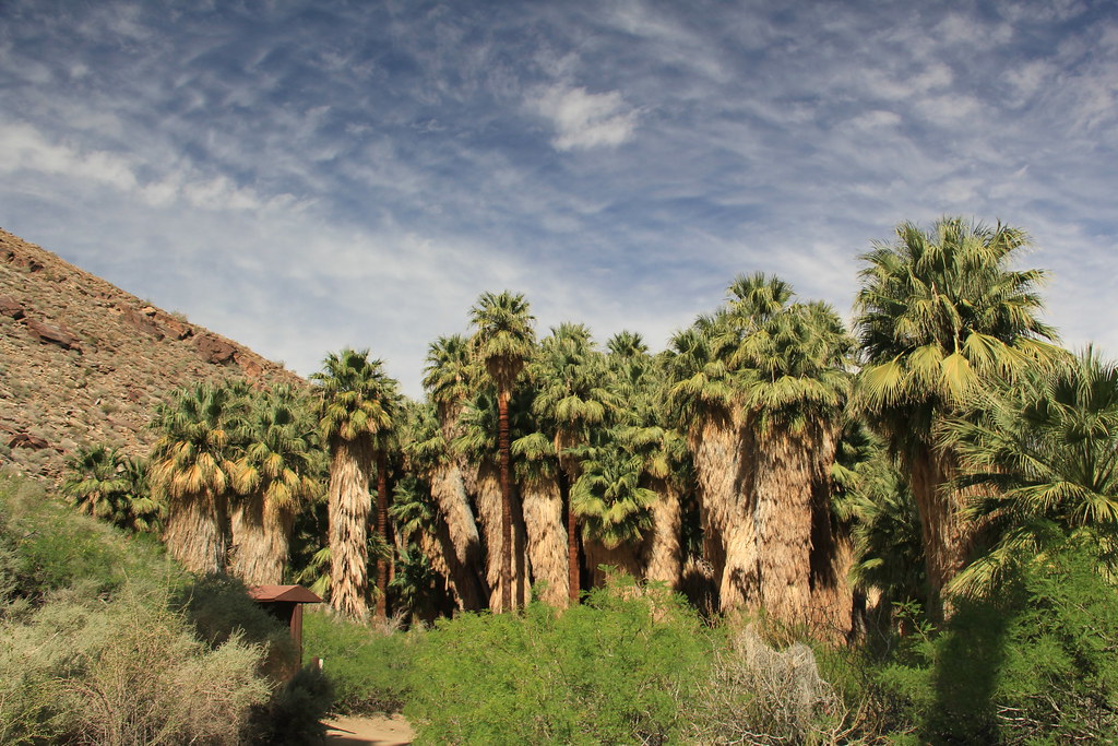 Palm Springs Indian Reservation 216 sgstandre Flickr