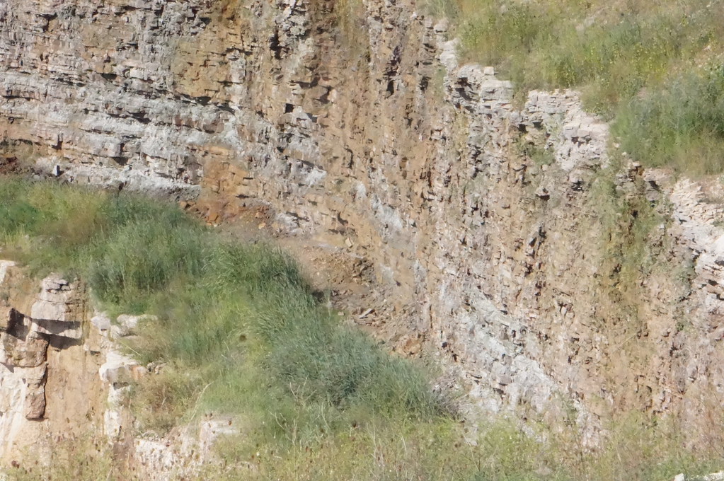 392 Lloyd Road and Brickville Road Vulcan Quarry Genoa, Il… Flickr