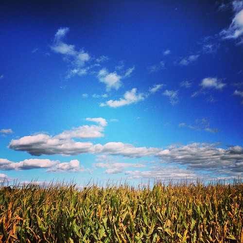 Ringoes, NJ Angela Flickr