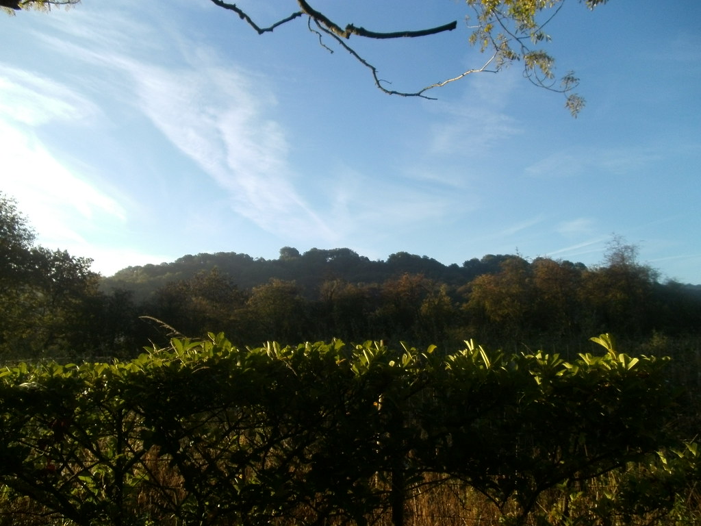 Cambridge Wood, Birchover/Darley Dale, Derbyshire A view o… Flickr