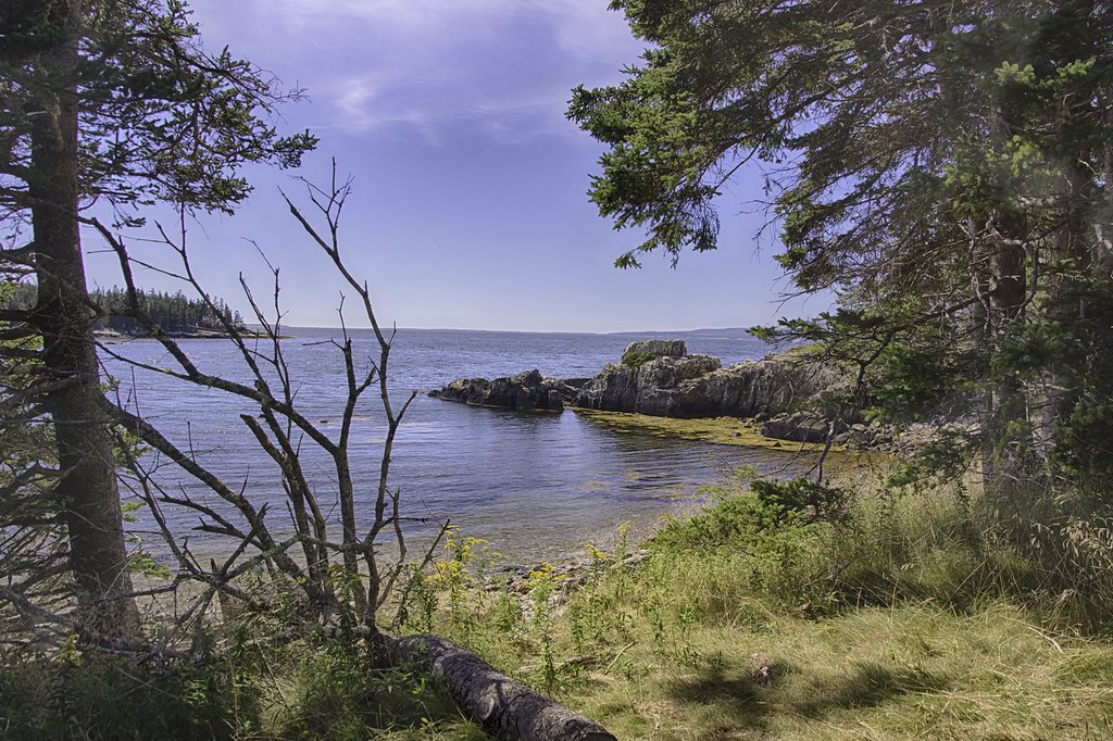 Elevation of Falls Bridge Rd, Blue Hill, ME, USA Topographic Map Altitude Map
