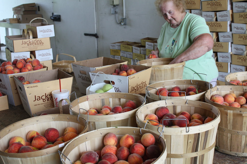 Peach Jackson's Orchard Peaches Jackson's Orchard Flickr