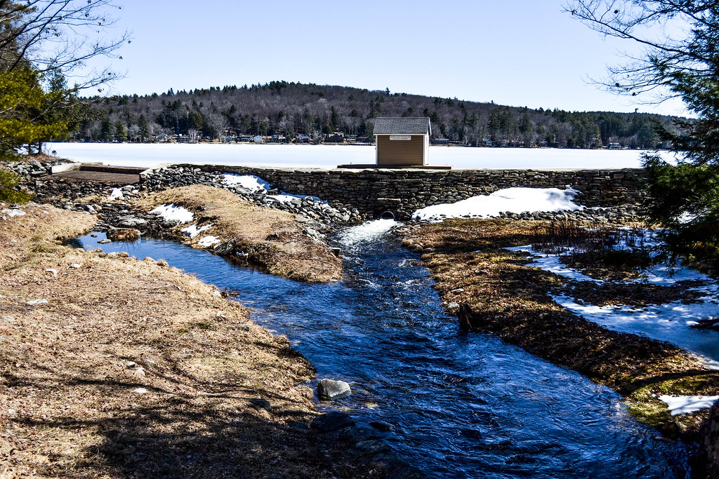 Lake Wyola March 2017 Flickr