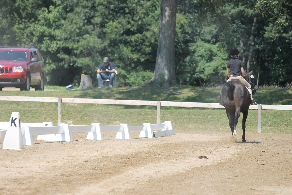 Dressage at Woodbine Schooling Show (August 25, 2013 Che… Flickr