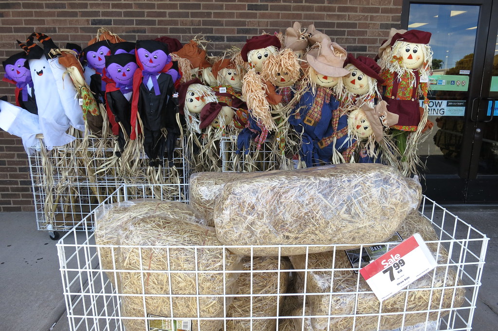 IMG_1003 Straw and Straw Dolls for Sale Galesburg, Illinoi