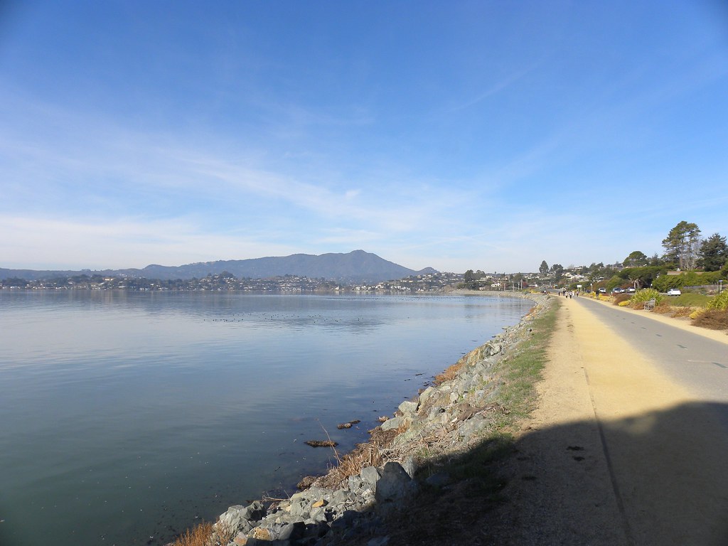 Tiburon Blvd., Richardson Bay at High Tide Photo by Megan… Flickr
