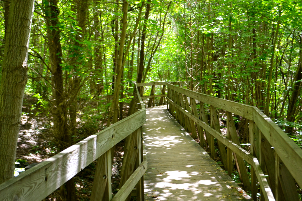 CLIFTON, OHIO CLIFTON A bridge along the trail. Flickr