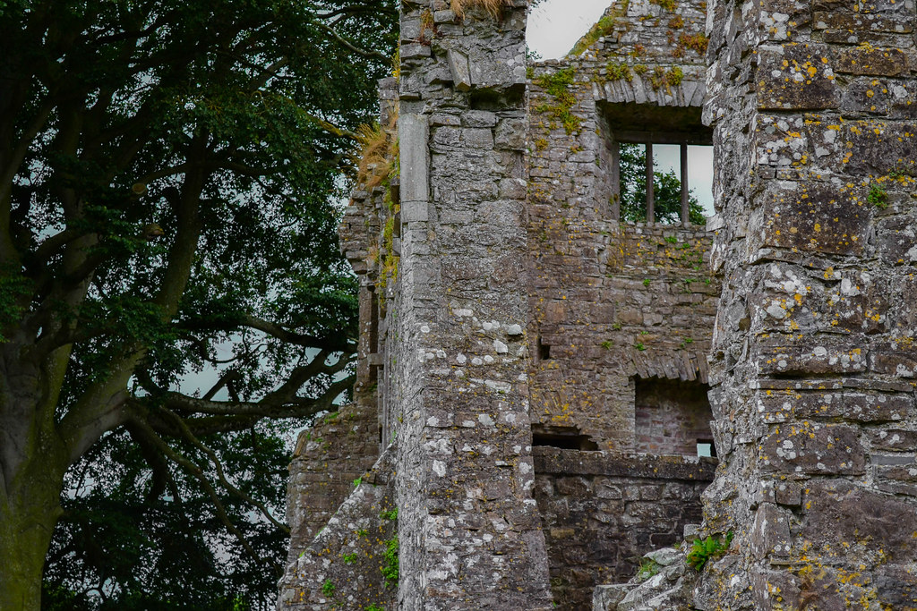 Bective Abbey Bective Abbey was founded in 1147. Dom Flickr