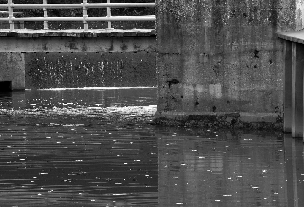 Wallworth Park, Haddonfield, NJ Flickr