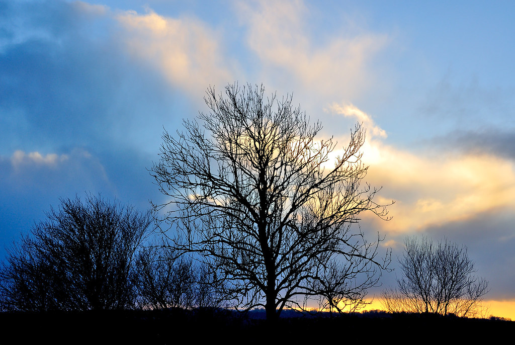Westfield Surgery, 51 Waterford Park, Radstock BA3 3UJ, UK Sunrise