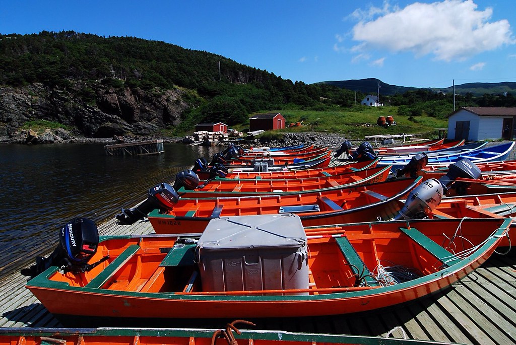 Little Port, Lark harbour, NL. Paul Pagé Flickr