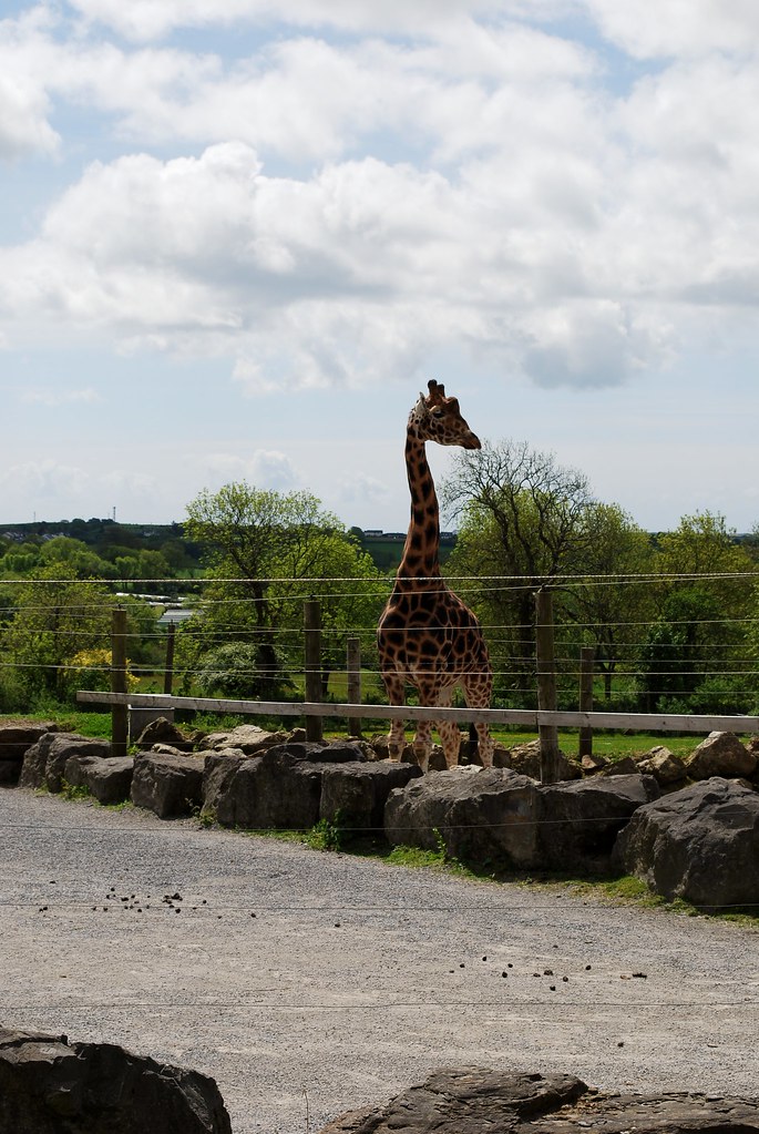 DSC_0873 Folly Farm, Wales Helen Hartley Flickr