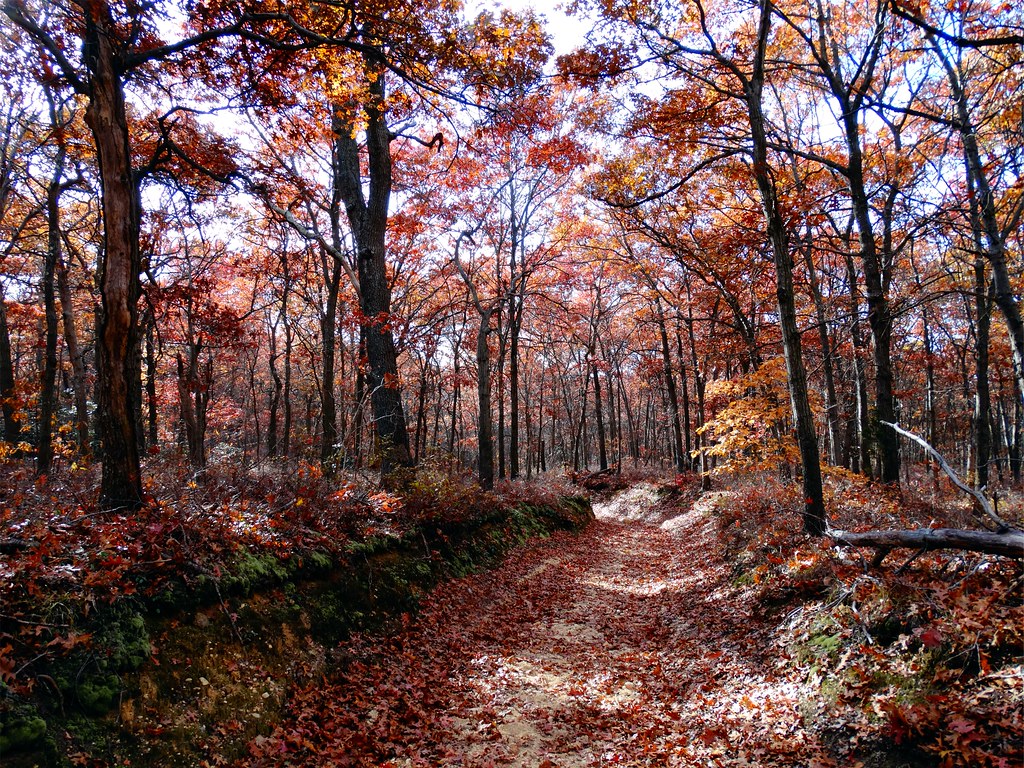 West Hills County Park (39) "New York" "Long Island" "West… Flickr