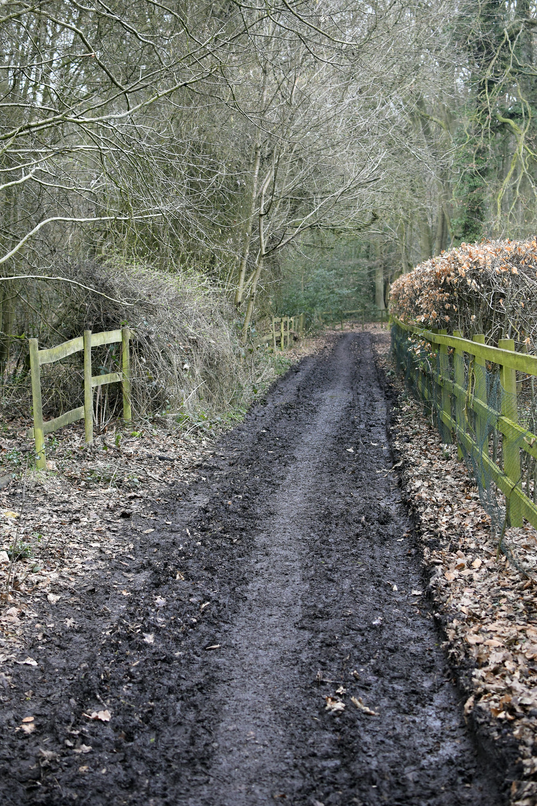 Photos Princes Risborough to Wendover Walk SWC