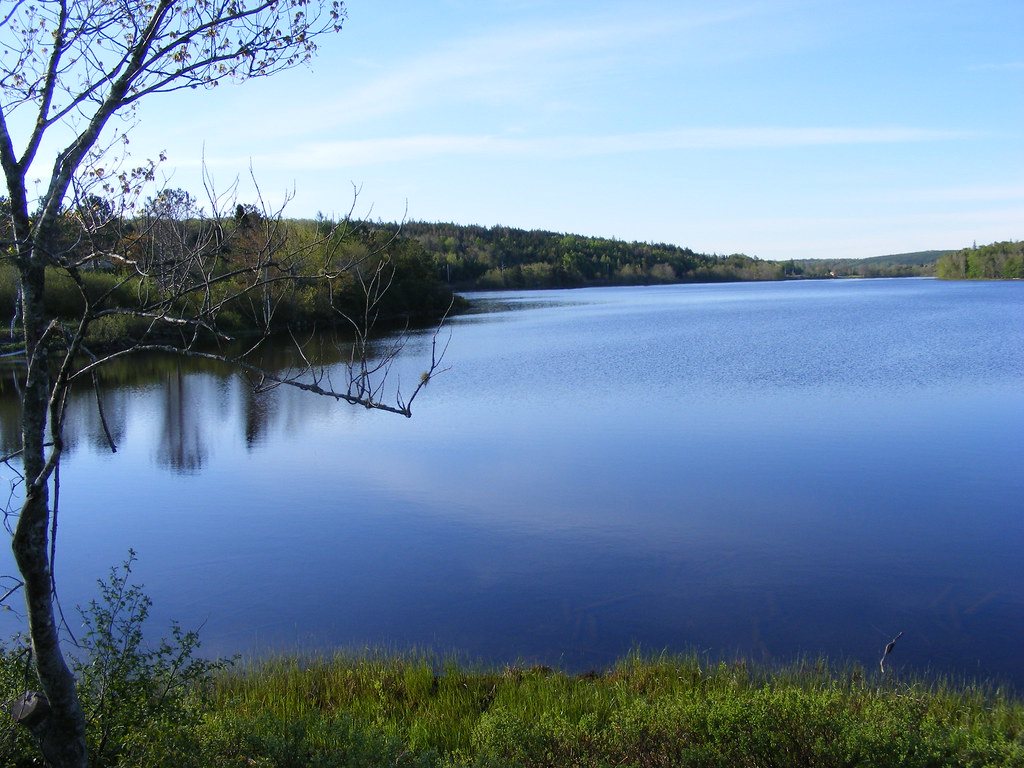 EDEN LAKE SPRING 2008 EDEN LAKE SPRING 2008 Flickr