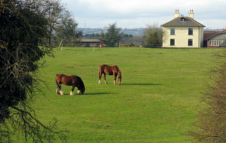 Mid March on the Granthan canal between Tollerton and Cotgrave Flickr