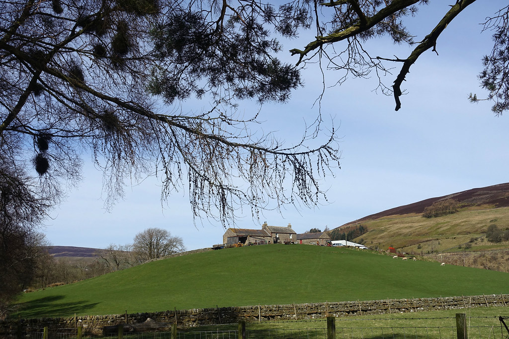 Lintley A lovely hill top farm close to the South Tyne and… Flickr