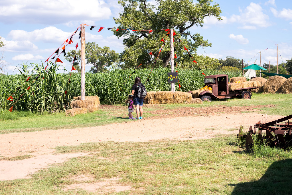 Barton Hills Farm Bastrop, TX Flickr