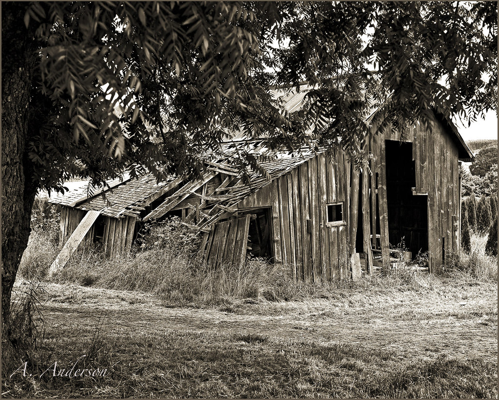 Barn near Gaston, Oregon Taken in Yamhill Co., Oregon Flickr