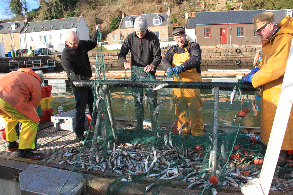 Avoch Herring Landing, February, 2014 Sandy Sutherland Flickr