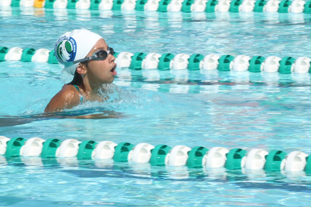 Swim Meet Dale city frog yukikod Flickr
