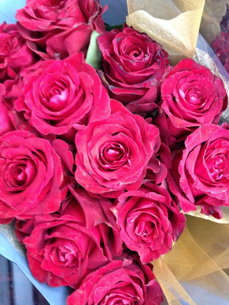 Flowers by Patty Vicknair a photo on Flickriver