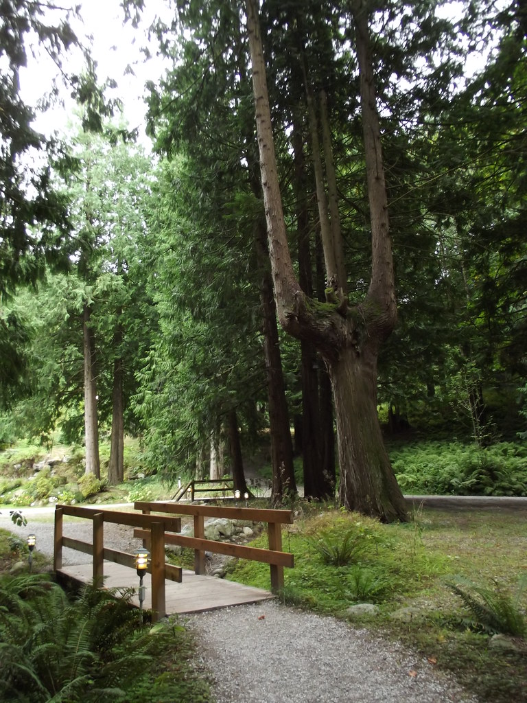 Cedar Springs Retreat Center Sumas WA 5 SierraSunrise Flickr