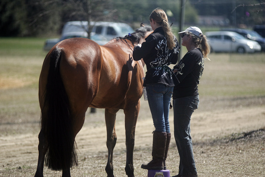 Quick Clicks from Carolina Horse Park's 2014 Horse Trials … Flickr