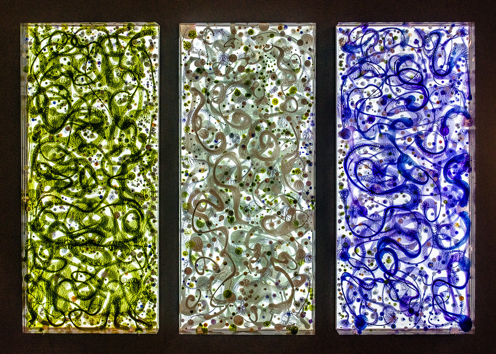 Illuminated glass panels at MAD, Manhattan Gerald Lau Flickr
