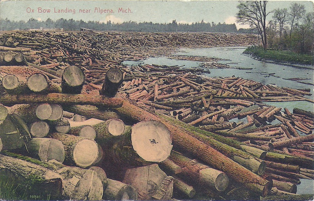 Log Drive, OxBow Landing, near Alpena, Michigan. Card post… Flickr