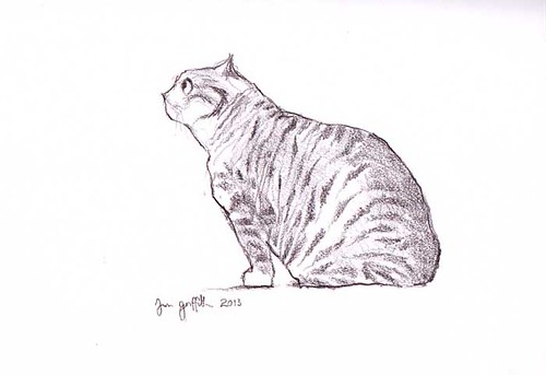 Large tabby cat side view Buy original drawing now on Ebay… Flickr
