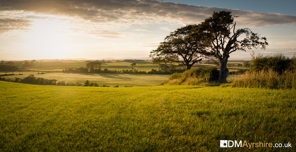 Ayrshire Countryside I've walked past this field so many t… Flickr