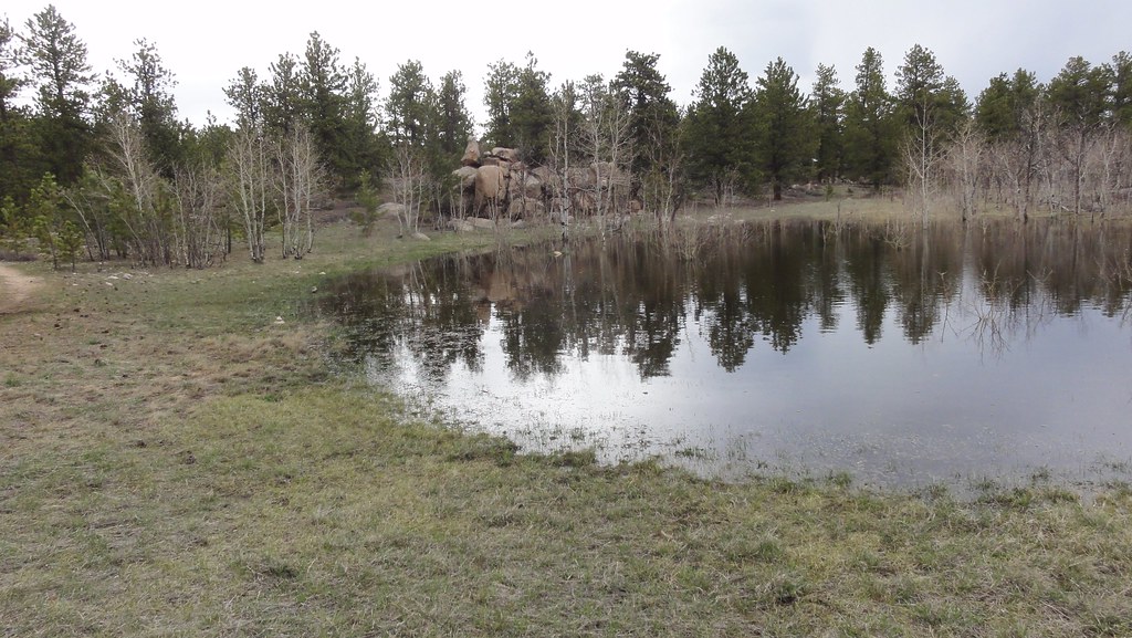 DSC02069 Views along Frog Pond Trail off Red Feathers Lake… Flickr