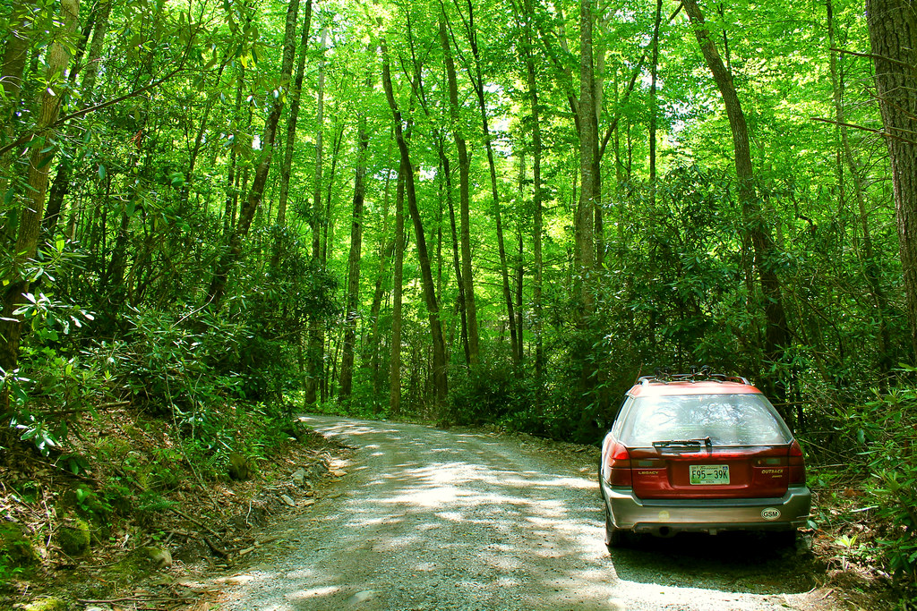 Parson Branch Road 8 miles of "road" connecting Cades Cove… Flickr