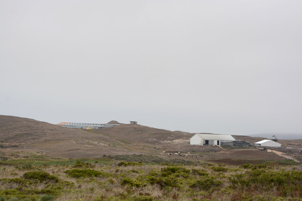 Dairy Farm on Point Reyes Rachel James Flickr