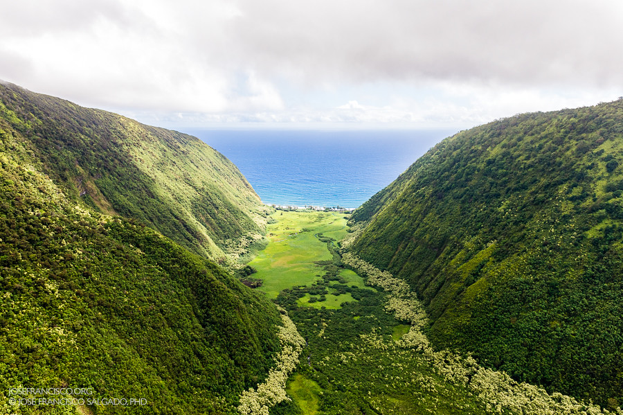 Elevation of 62 Mahua St, Waimea, HI, USA Topographic Map Altitude Map