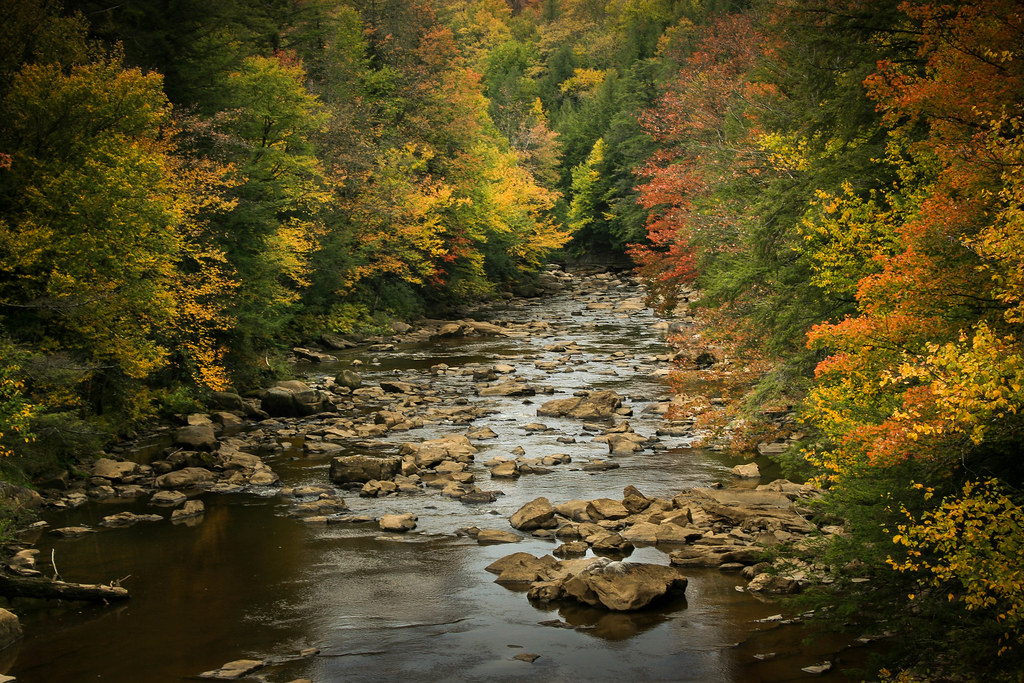 Blackwater River, Davis, WV Larry Gerrard Flickr