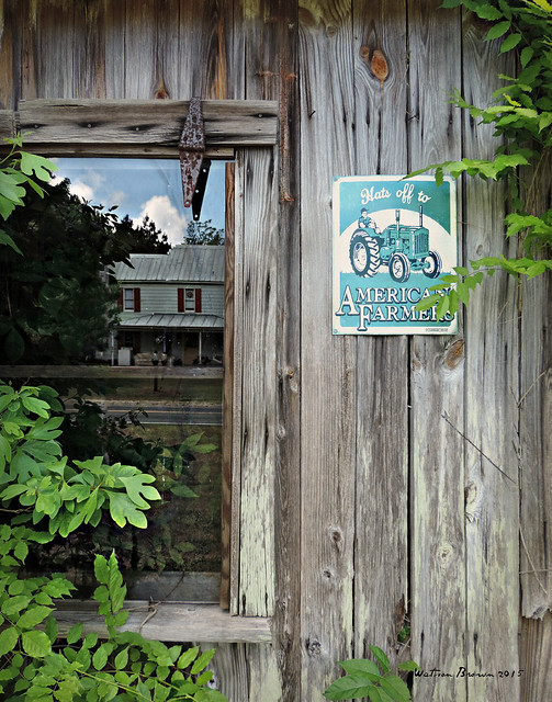 Reflections in an Old Country Store Window Grantsboro, Pamlico County