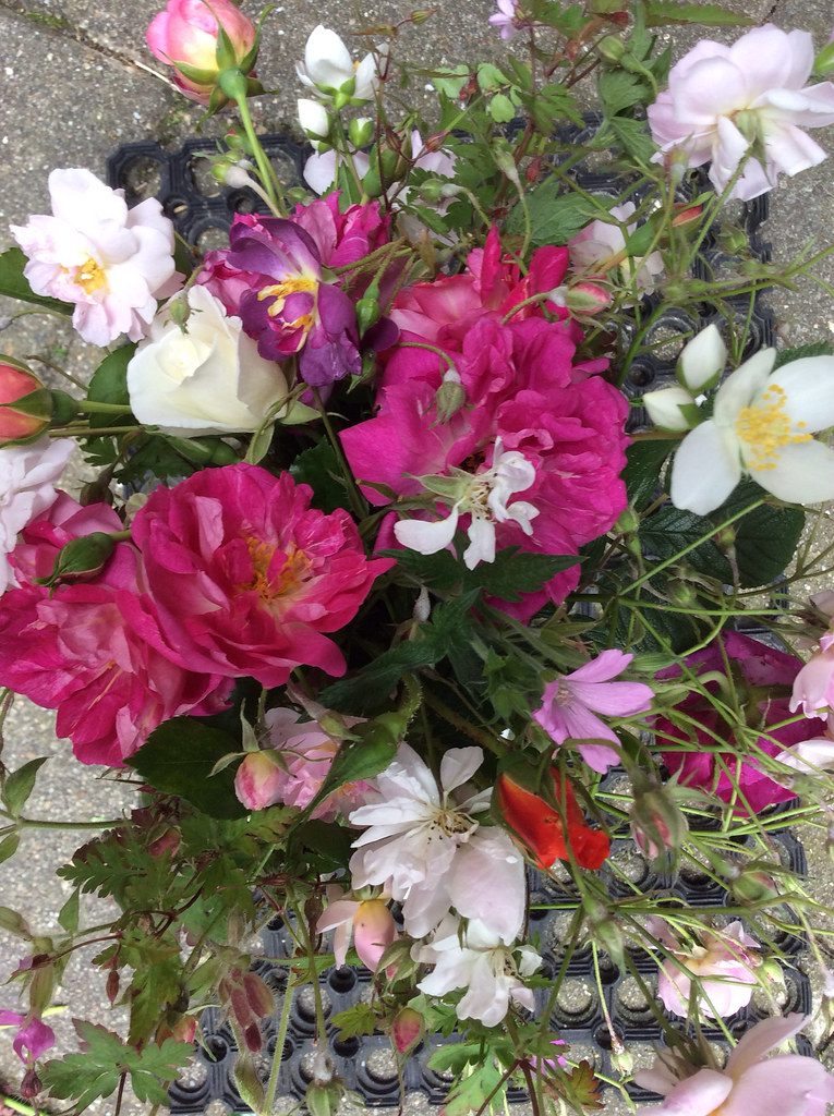 Bouquet for a sick friend bouquets an album on Flickr In… Flickr