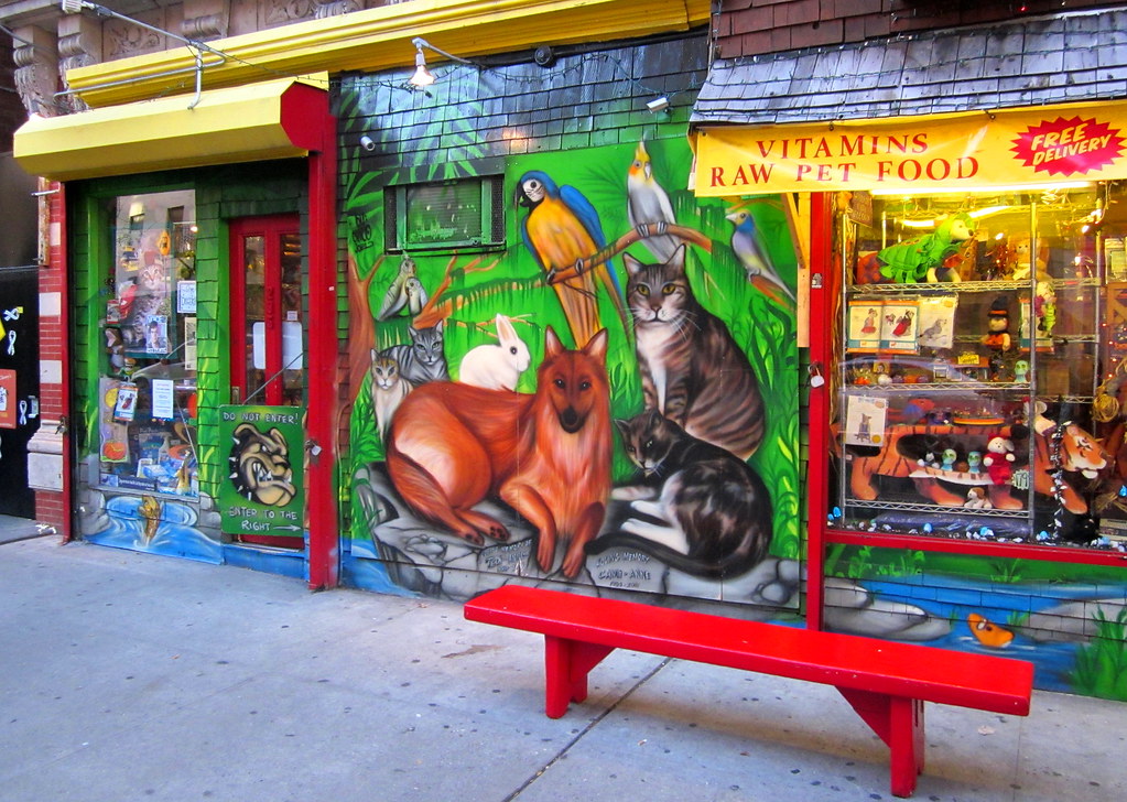 USA New York colorful mural at pet shop in East Village "Animal