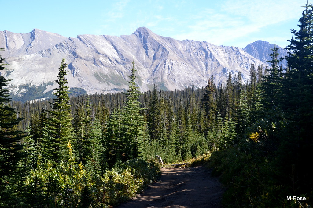 Parker Ridge Parker Ridge trail margaret472 Flickr