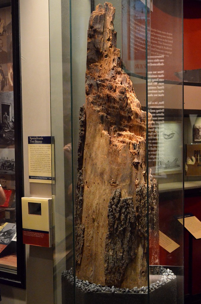 Spotsylvania tree stump Taken in the National Museum of Am… Flickr