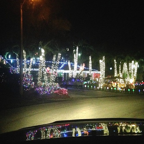 This is how palm trees are decorated during Christmas. ch… Flickr