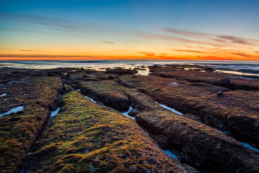 Slippery Rocks I didn't make it down to La Jolla until jus… Flickr