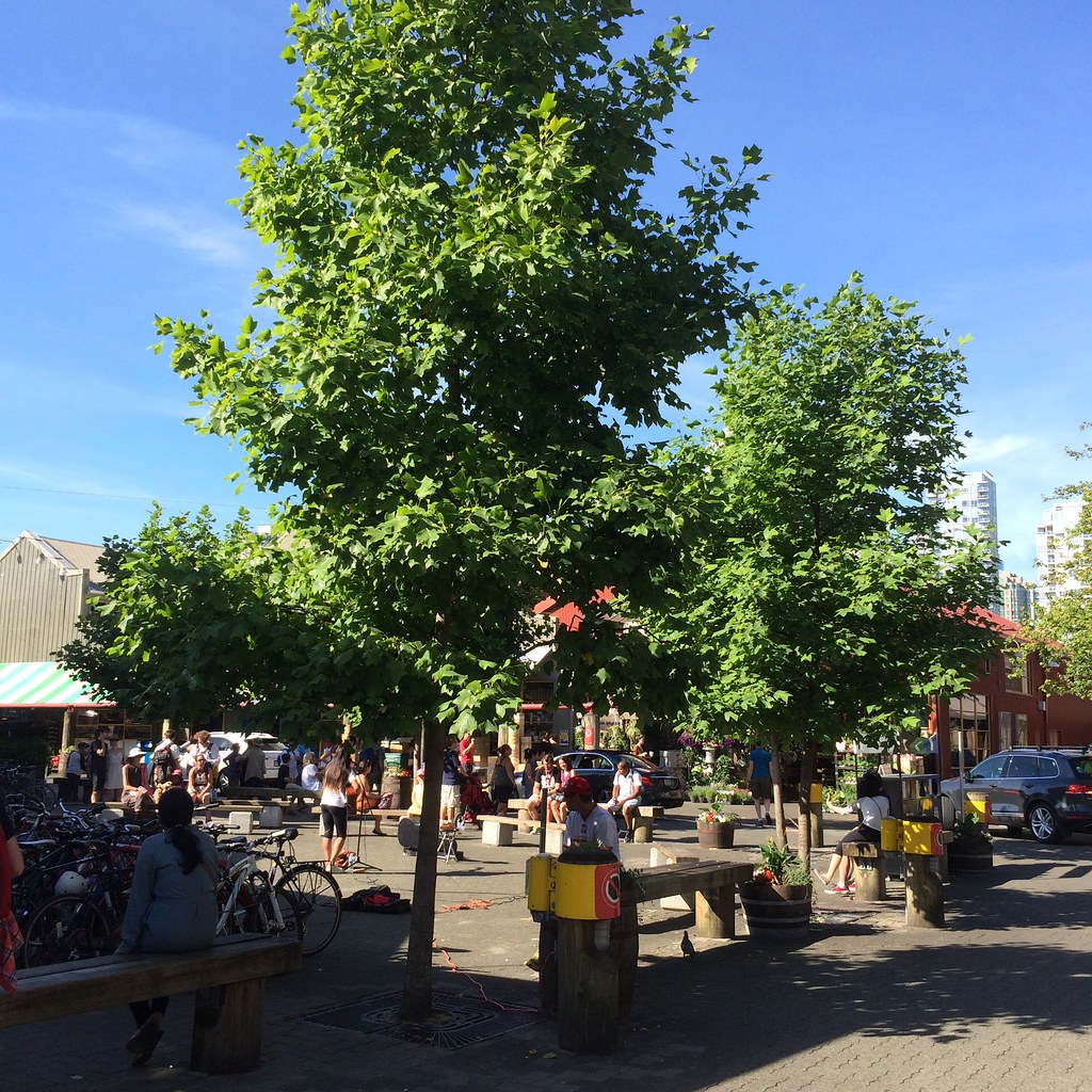Trees of the Granville Island Net Loft Vancouver, British… Flickr