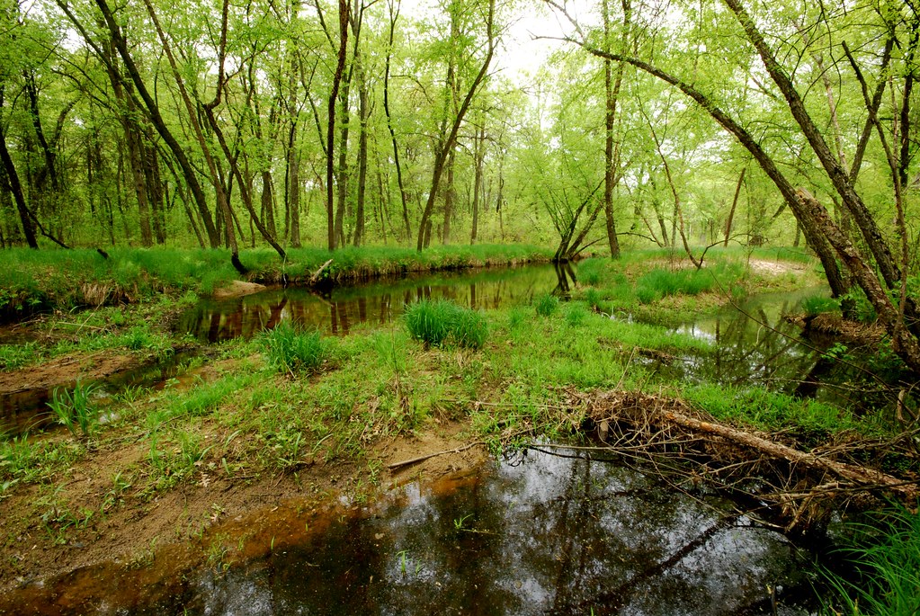 Yellow River Oxbows Yellow River Oxbows Wisconsin State Na… Flickr