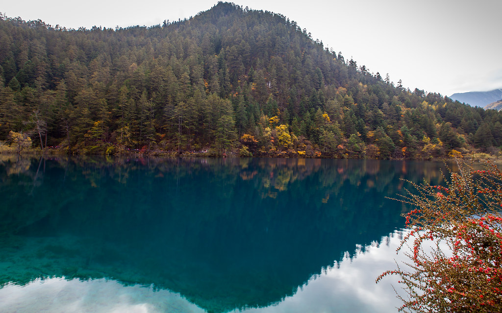 Tiger lake Hieu NguyenQuang Flickr